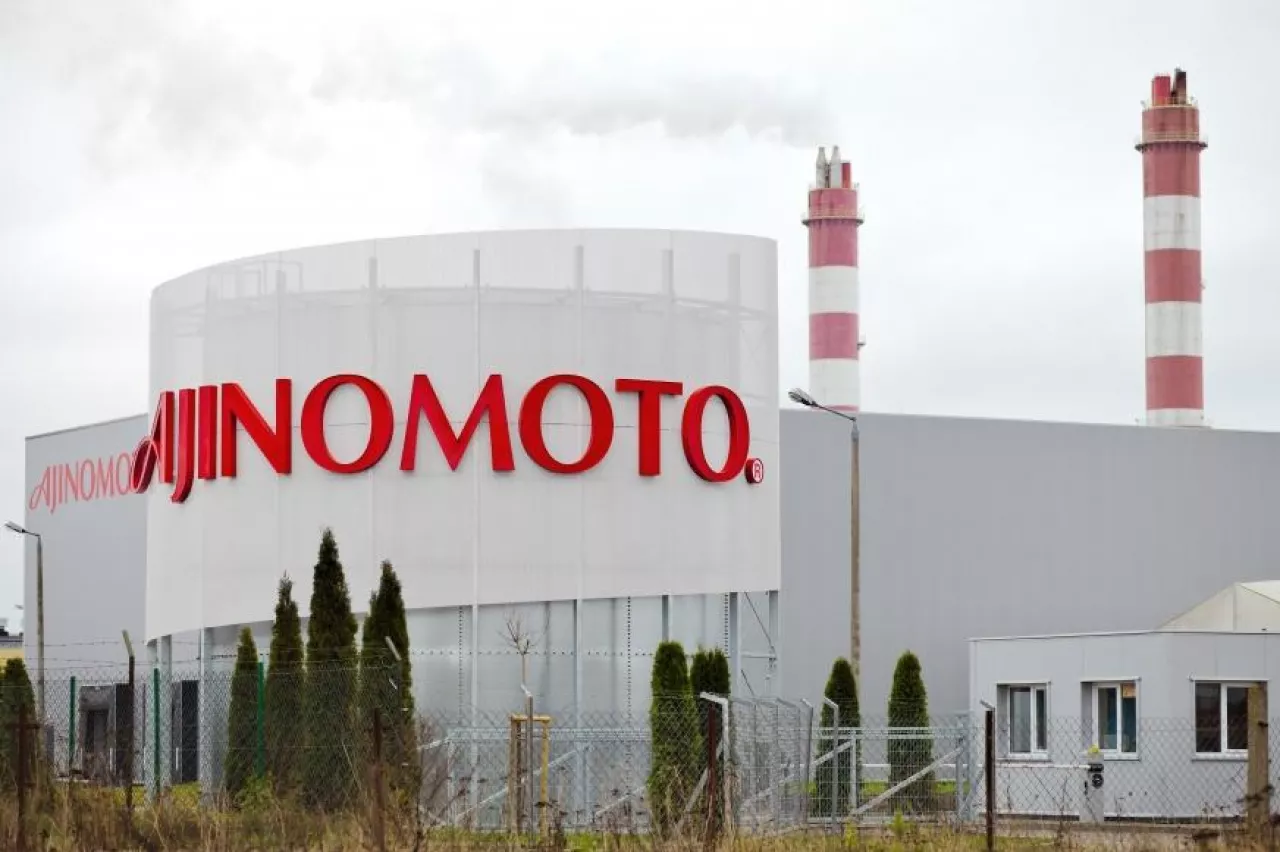 Zakład produkcyjny Ajinomoto w Małkinii Górnej (fot. materiały prasowe)
