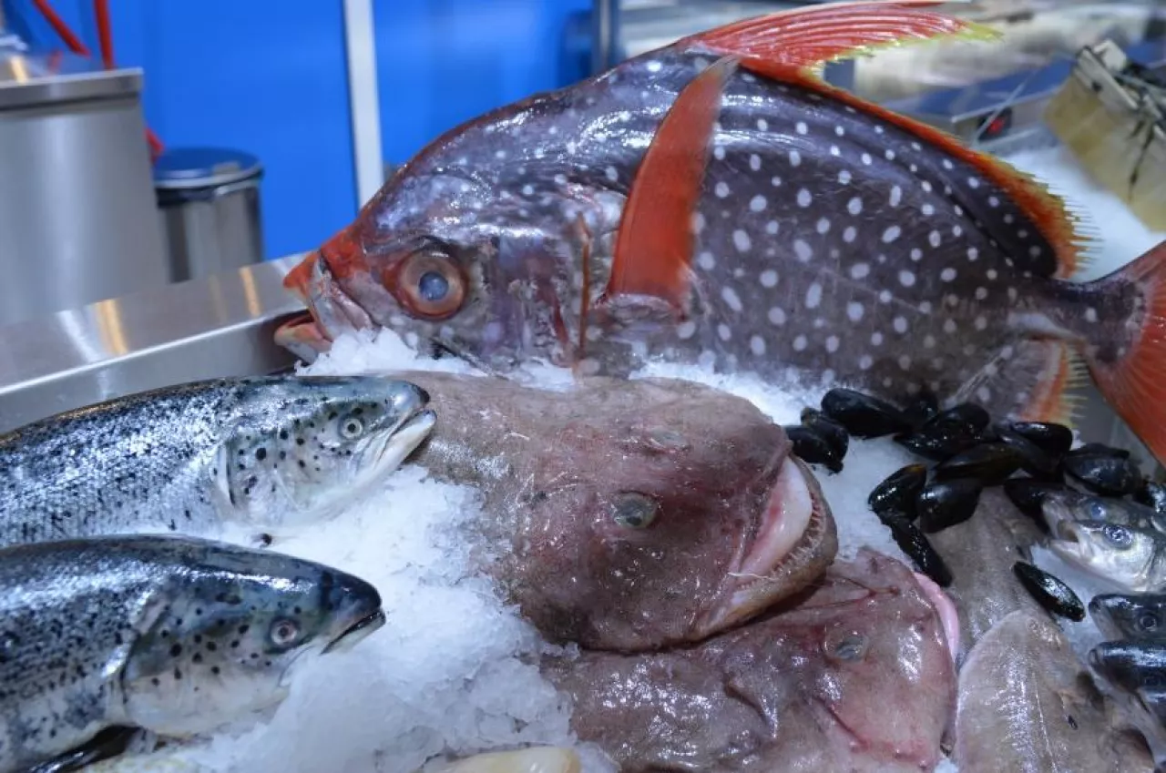 Świeże ryby na stoisku hali Selgros (materiały własne)