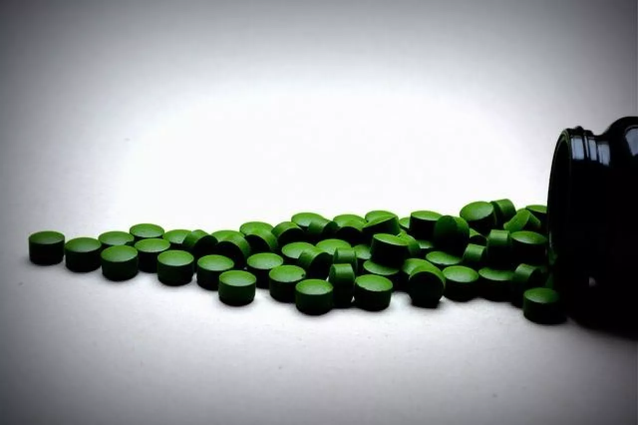 Chlorella to rodzaj alg uprawianych w Azji (Fot. Pixabay)