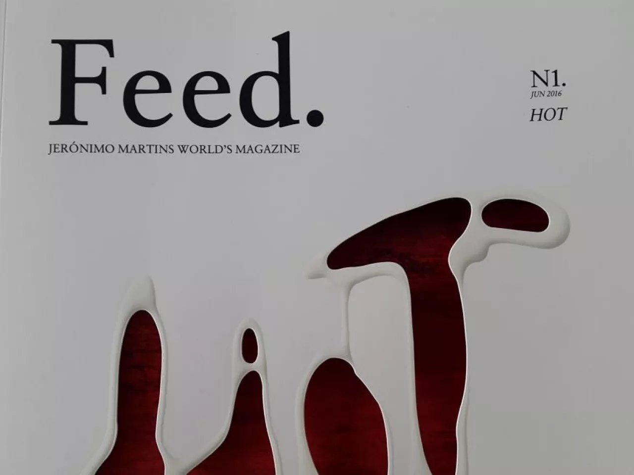 Na zdj. fragment okładki pierwszego numeru magazynu ”Feed”, wydawanego przez Jeronimo Martins (fot. materiały własne)