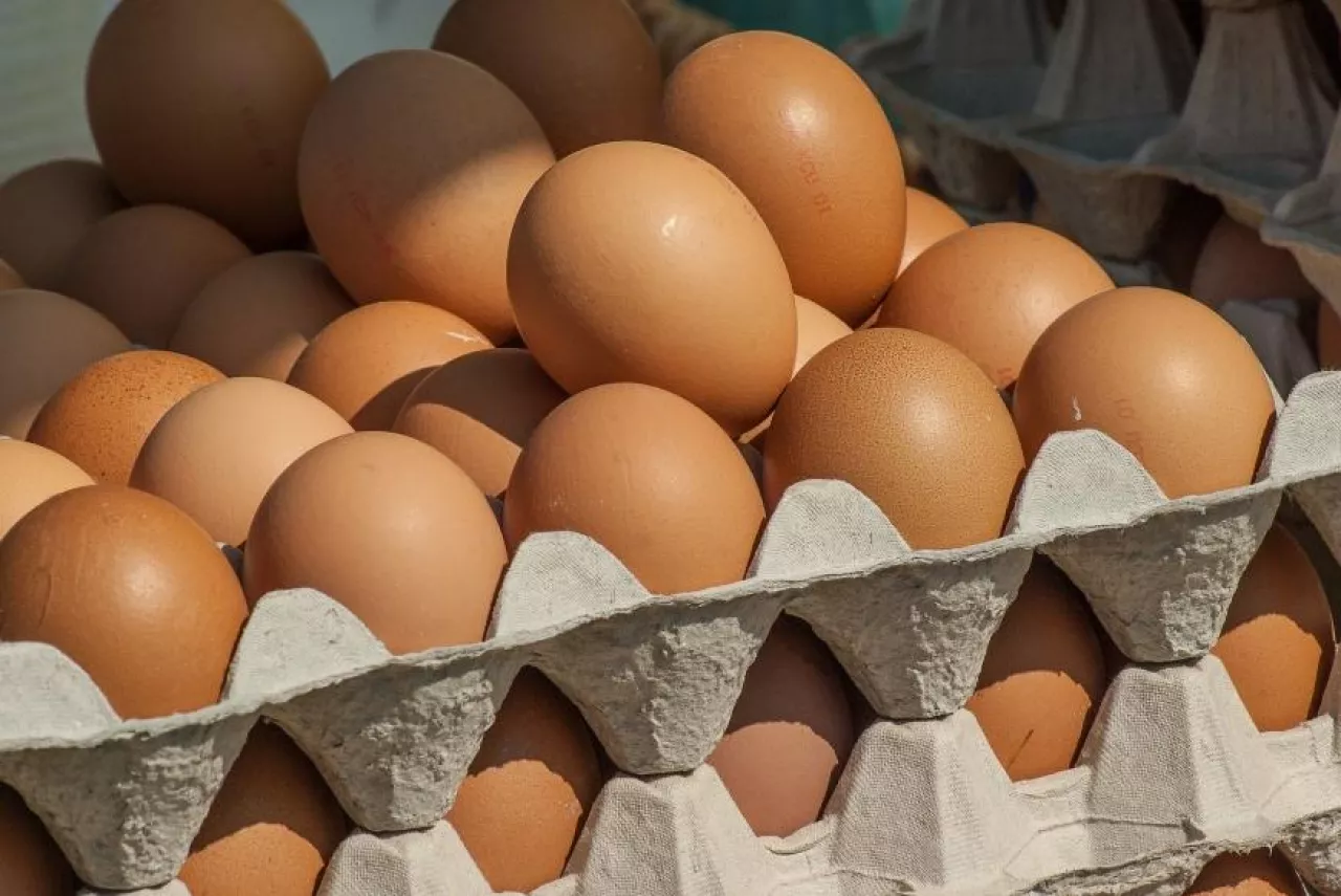 W zeszłym roku Ovostar Union wyprodukował 1,2 mln jaj (fot. pixabay)