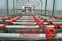 Wózki na zakupy w sklepie Auchan (materiały własne)