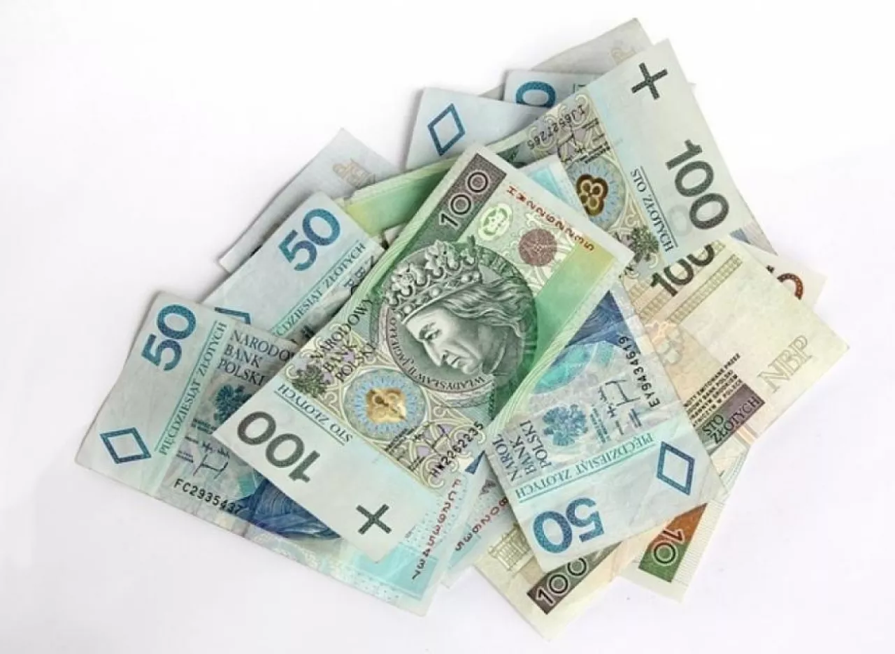 polskie banknoty (fot. Fot. Pixabay)