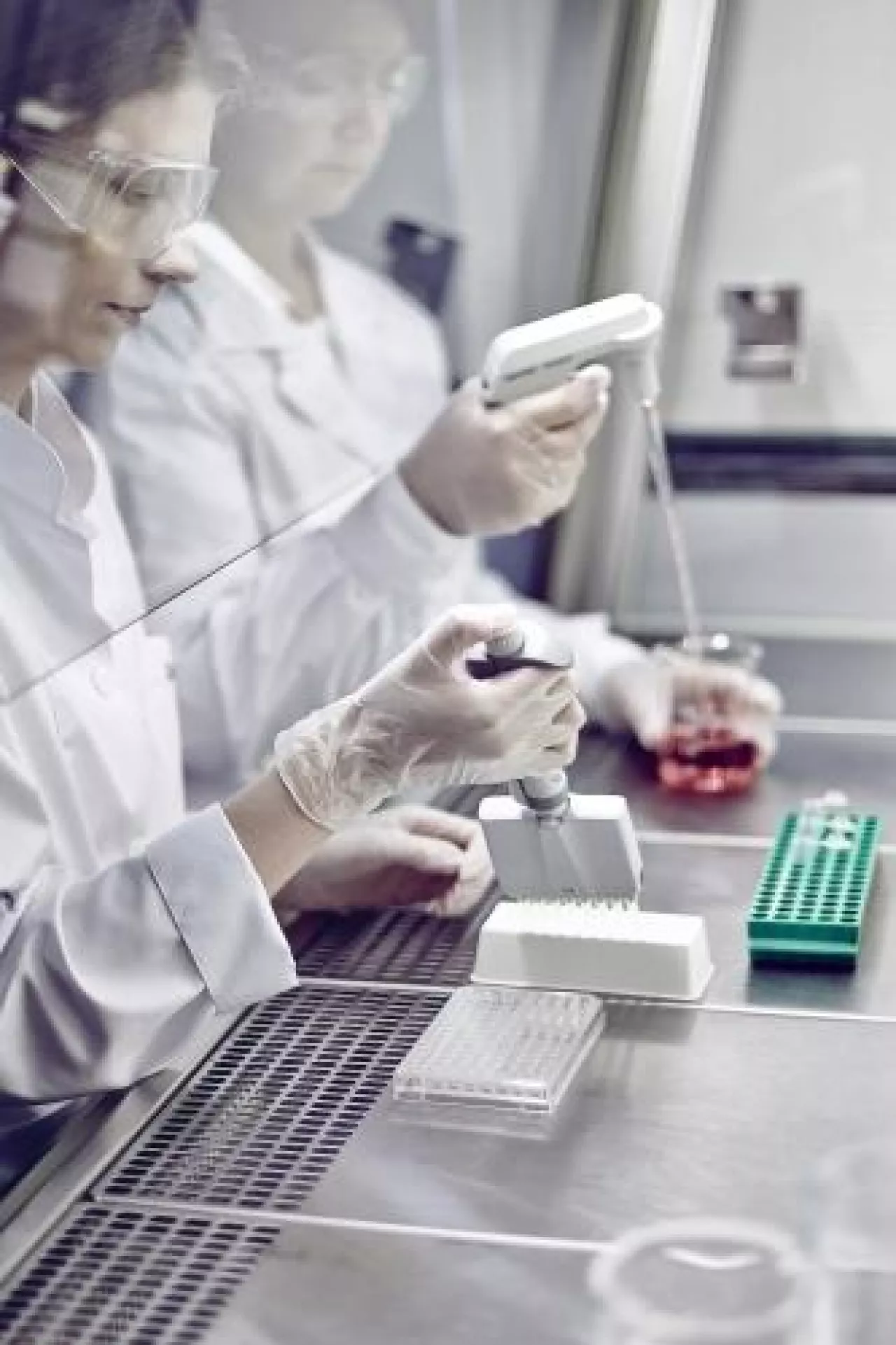 Henryk Orfinger, prezes zarządu, współwłaściciel, Laboratorium Kosmetyczne Dr Irena Eris ( fot. Mariusz A. Szachowski/materiały prasowe)