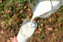 Nie ma na razie podstaw do tego, żeby spodziewać się znaczącego spadku cen mleka w drugiej połowie roku (fot. pixabay)