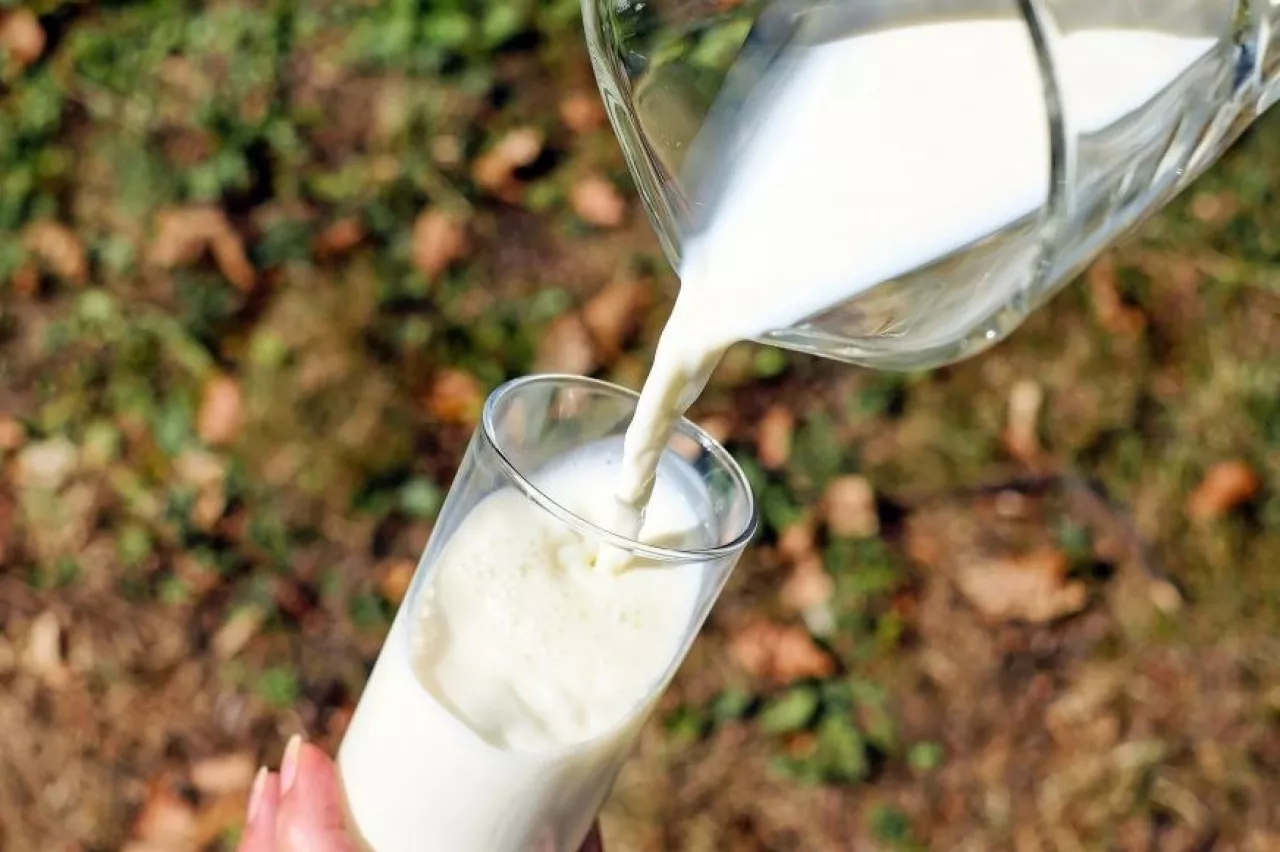 Nie ma na razie podstaw do tego, żeby spodziewać się znaczącego spadku cen mleka w drugiej połowie roku (fot. pixabay)