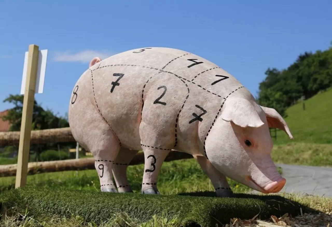 W handlu detalicznym wzrost cen wieprzowiny widoczny jest od kwietnia (fot. pixabay)