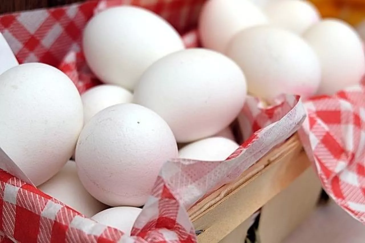 Jaja skażone  fipronilem na fermach TOP-JAJ, Fermy Drobiu Woźniak i Farmio (pixabay)