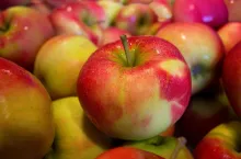 Jabłka krajowe na rynku Pod Topolami w Łodzi kosztują nawet 6 zł/kg (Pixabay CC0)