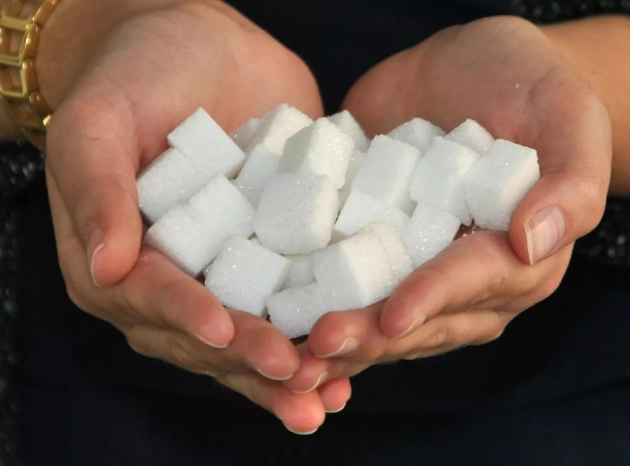 Polska jest wśród krajów, które mogą szczególnie skorzystać na zniesieniu kwot cukrowych (Pixabay CC0)