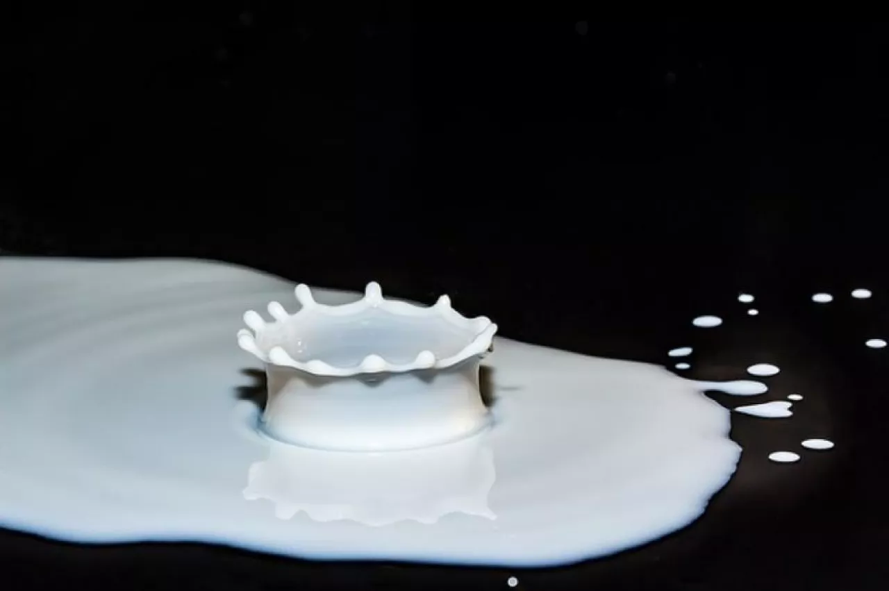 kropka mleka (fot. Pixabay CC0)