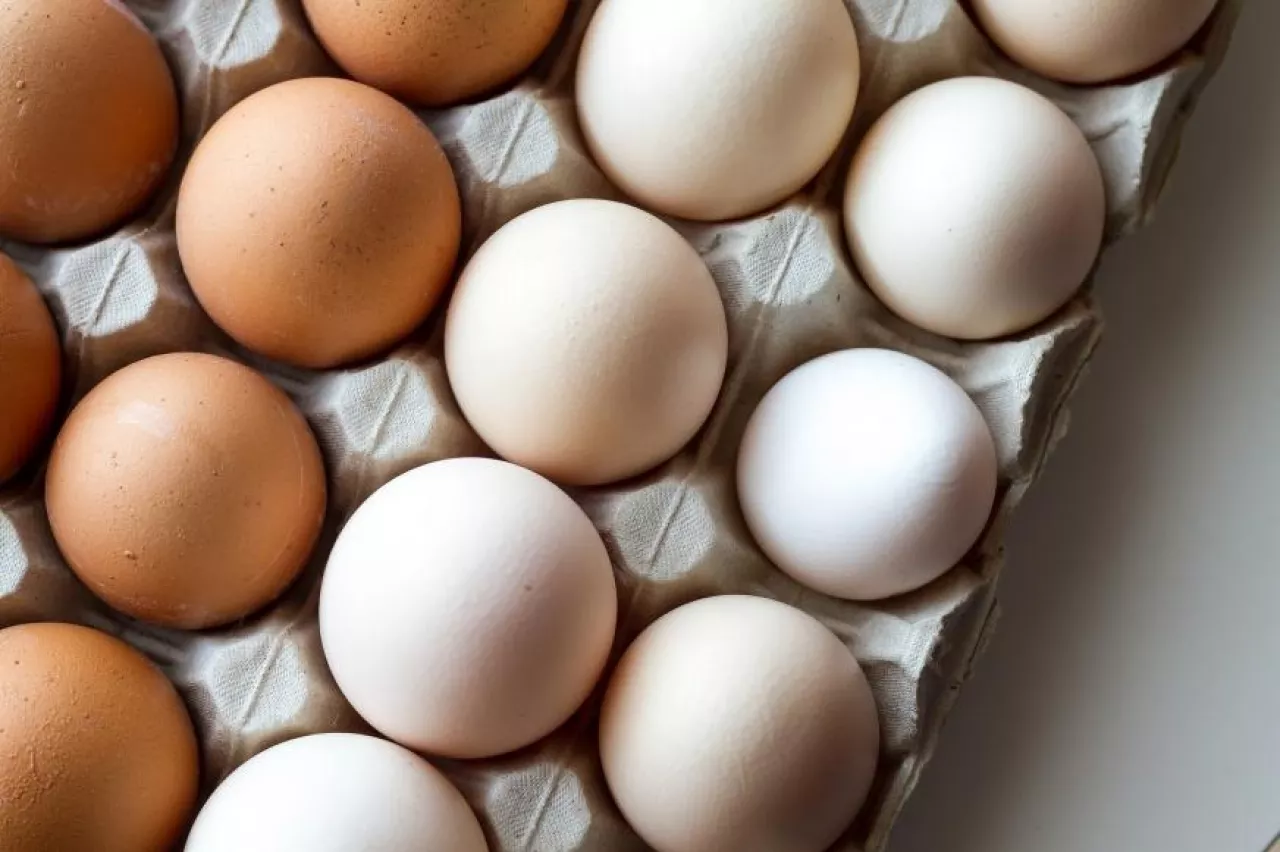 W polskich sklepach dostępne są jaja pochodzące z czterech rodzajów chowu, oznaczone cyframi 0, 1, 2, 3 i 4 (mat. prasowe)