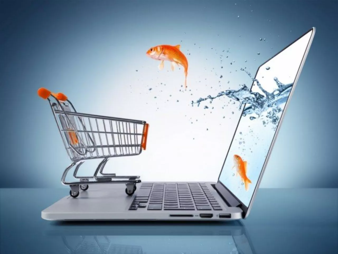 e-commerce (fot. Fotolia)