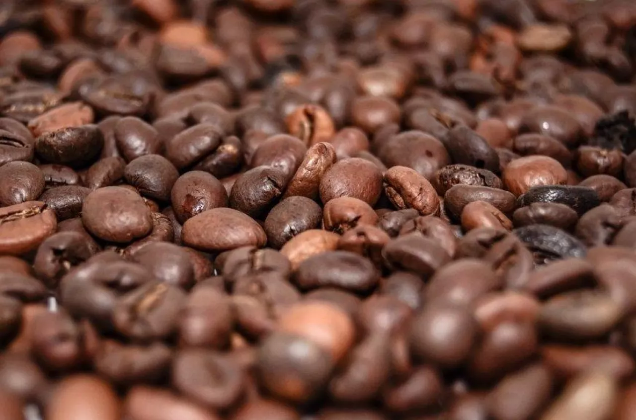 Polacy mogą rozwinąć handel kawą na Amazonie (archiwum)