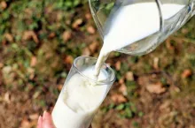 szklanka mleka (fot. fot. pixabay)