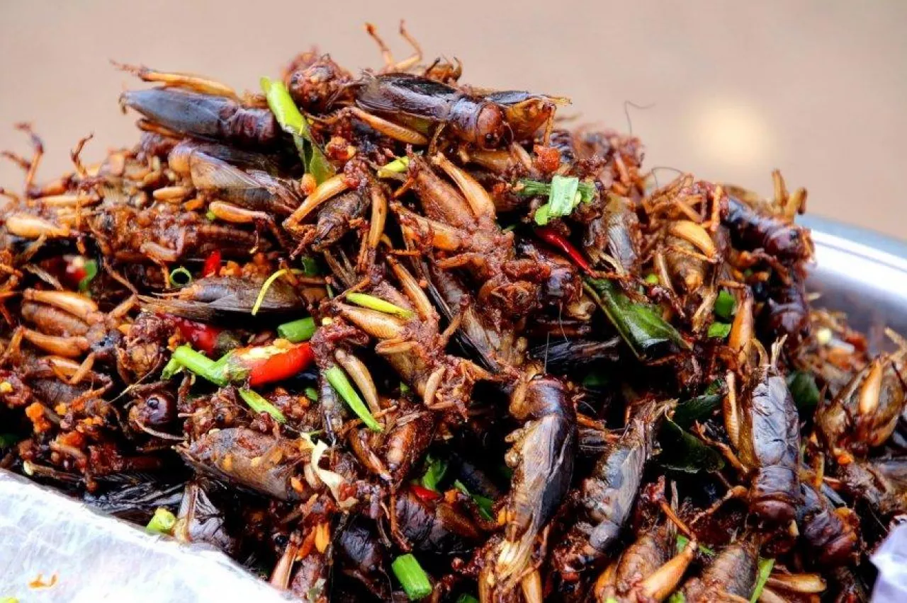2 mld ludzi na świecie wykorzystuje owady w swojej diecie (Pixabay.com)