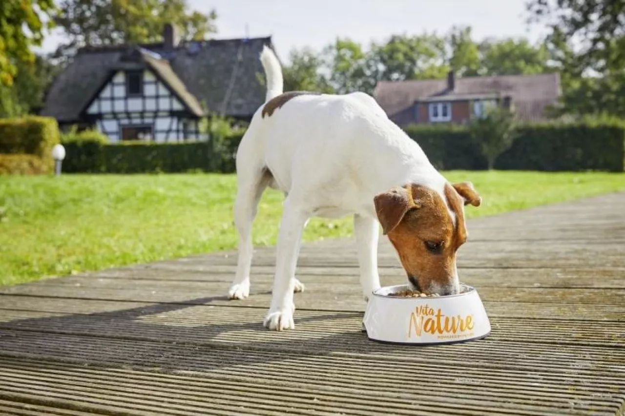 Vita Nature – żywienie dla psów prosto z natury (fot. materiały prasowe partnera)