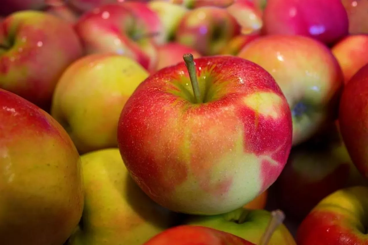 Polska jest jednym ze światowych liderów w produkcji jabłek (Pixabay CC0)