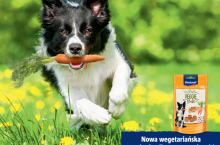 Veggie Bits, bezmięsna, roślinna przekąska dla psów od firmy Vitakraft (Veggie Bits od Vitakraft)