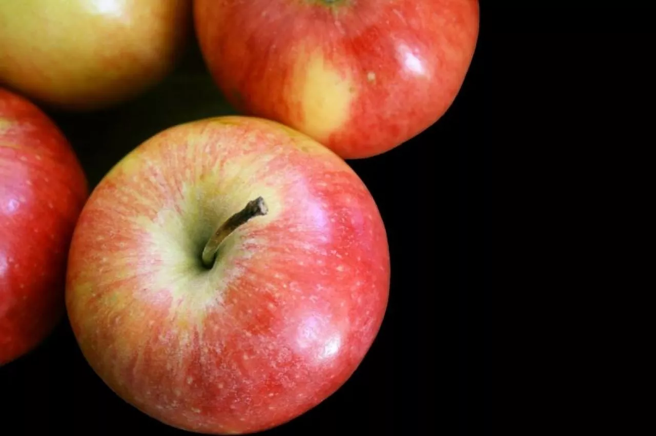 Stowarzyszenie Sady Grójeckie przekaże Fundacji PKP 8 tysięcy jabłek zapakowanych w specjalnie przygotowanych kartonikach (fot. pixabay)