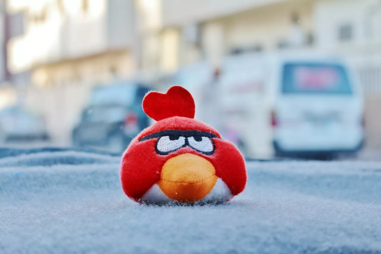 Maskotka Angry Birds (Pixabay.com)