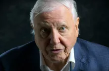 Sir David Attenborough (youtube)