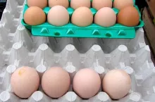 Jaja bez stempelków od kur „prawdziwych, grzebiących, karmionych ziarnem” ()