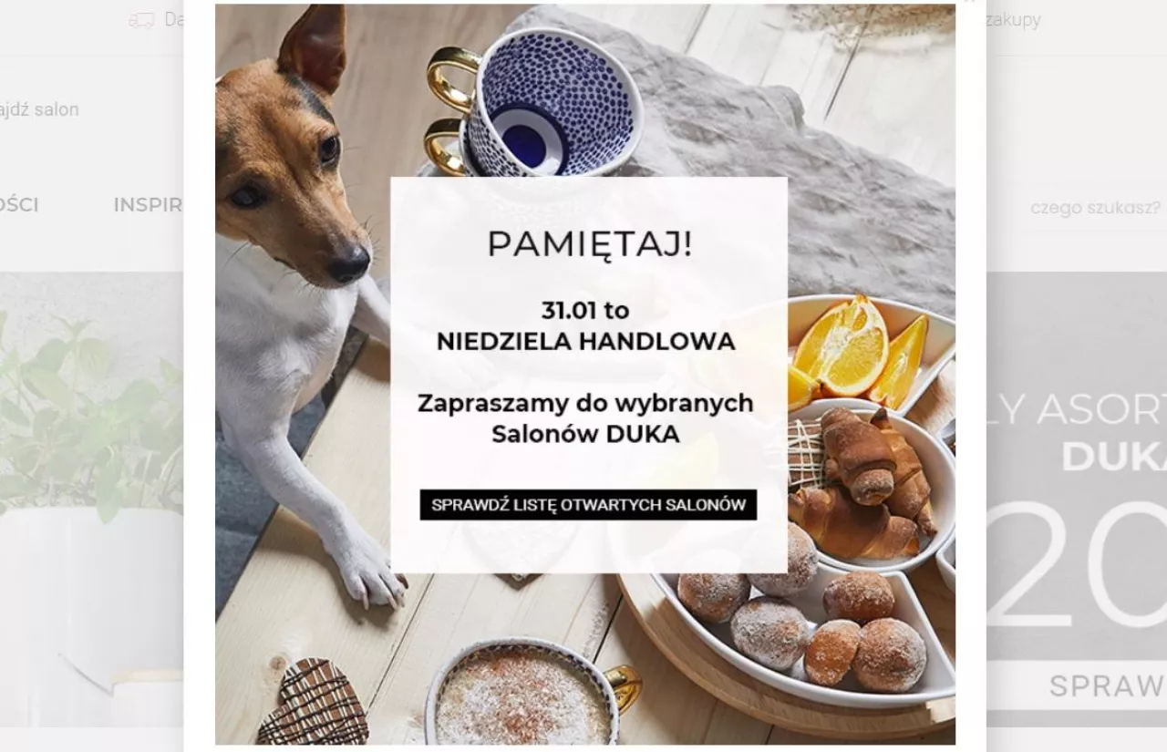 Duka sprzedaje karmę dla psów aby otwierać sklepy (duka.com)
