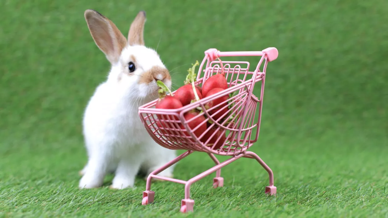 Tegoroczne zakupy Wielkanocne mogą nie przypominać tych sprzed pandemii (fot. Shutterstock)