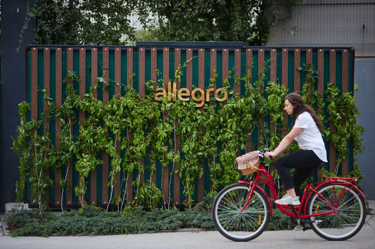 Zielony automat paczkowy Allegro (fot. Allegro)