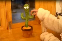 Zabawka-kaktus (Youtube / chifong Lin)
