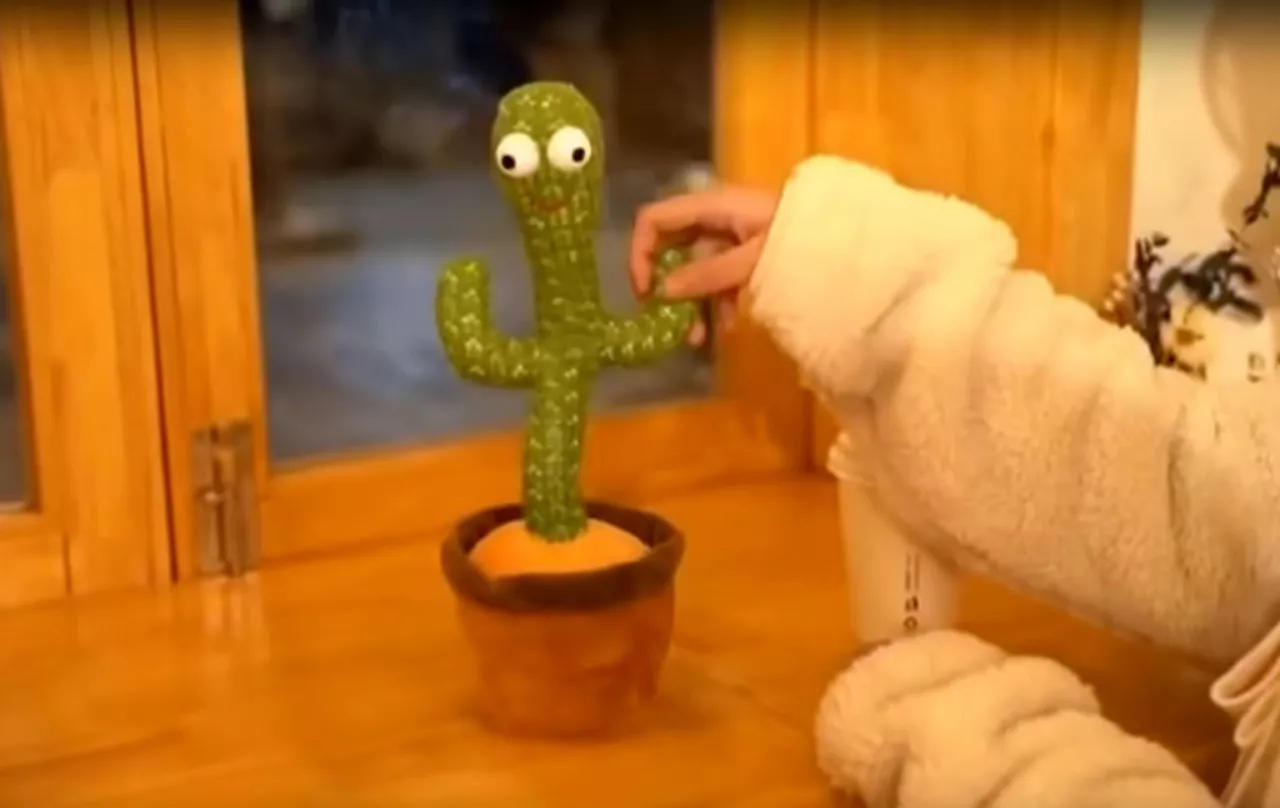 Zabawka-kaktus (Youtube / chifong Lin)