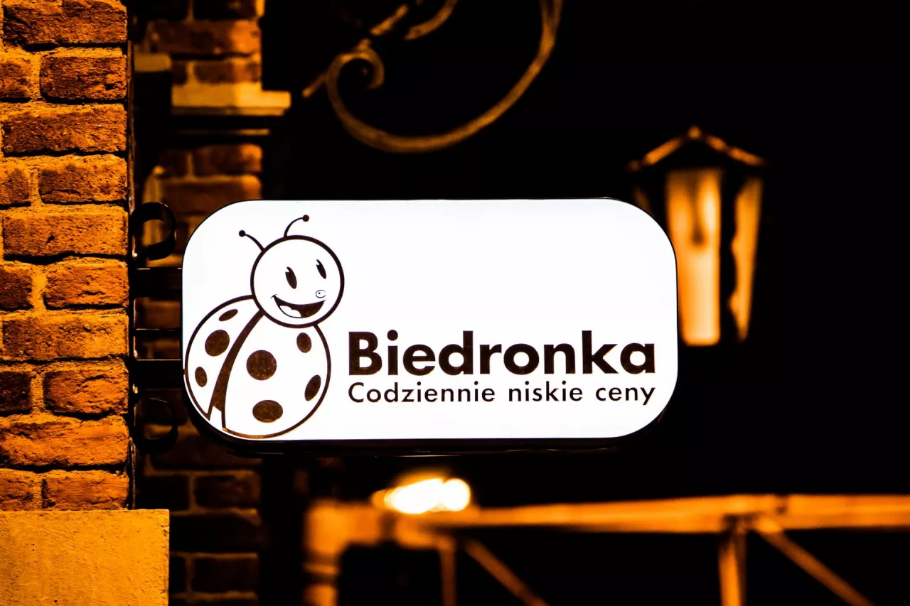 Biedronka (fot. Grzegorz Czapski / Shutterstock.com)