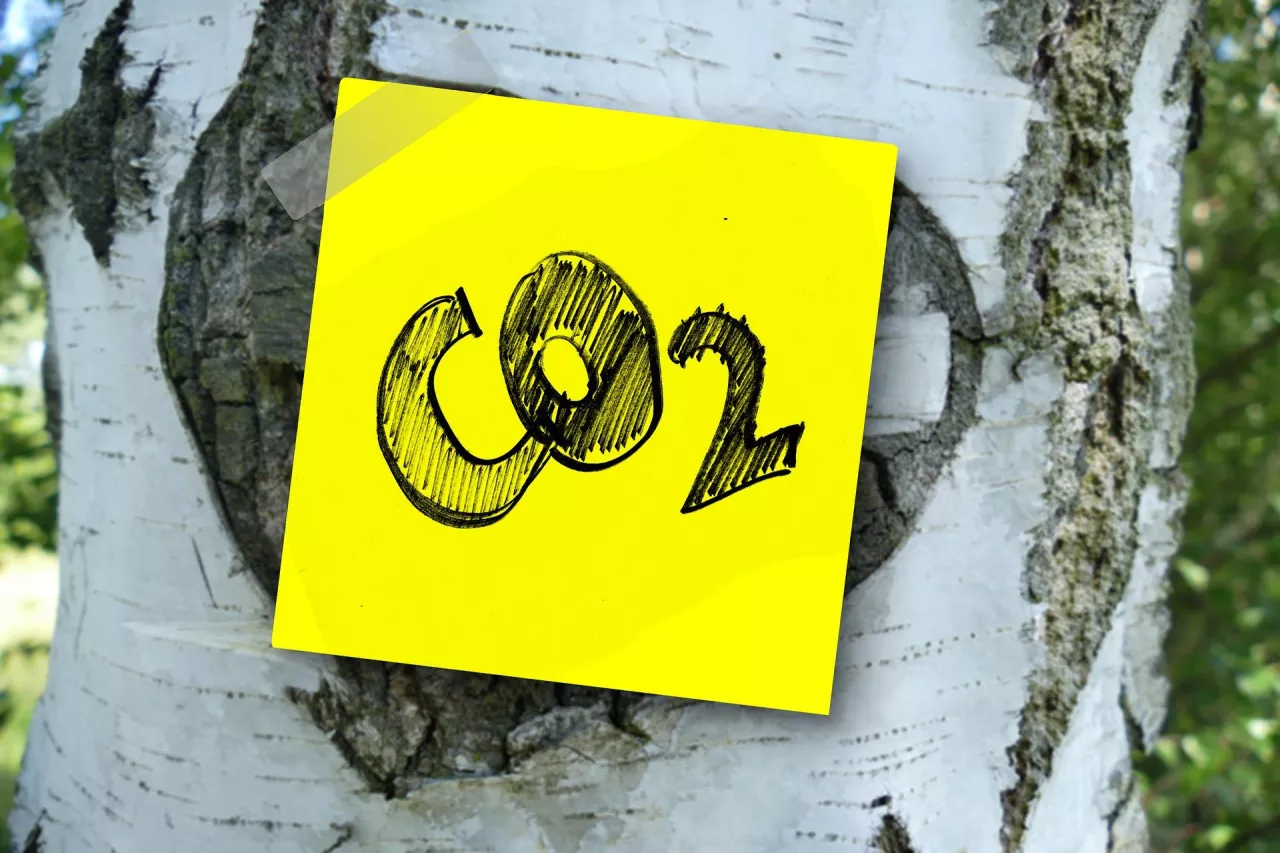 redukcja emisji CO2 (pixabay)
