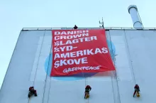 Protest Greenpeace przeciwko Danish Crown (fot. Greenpeace)