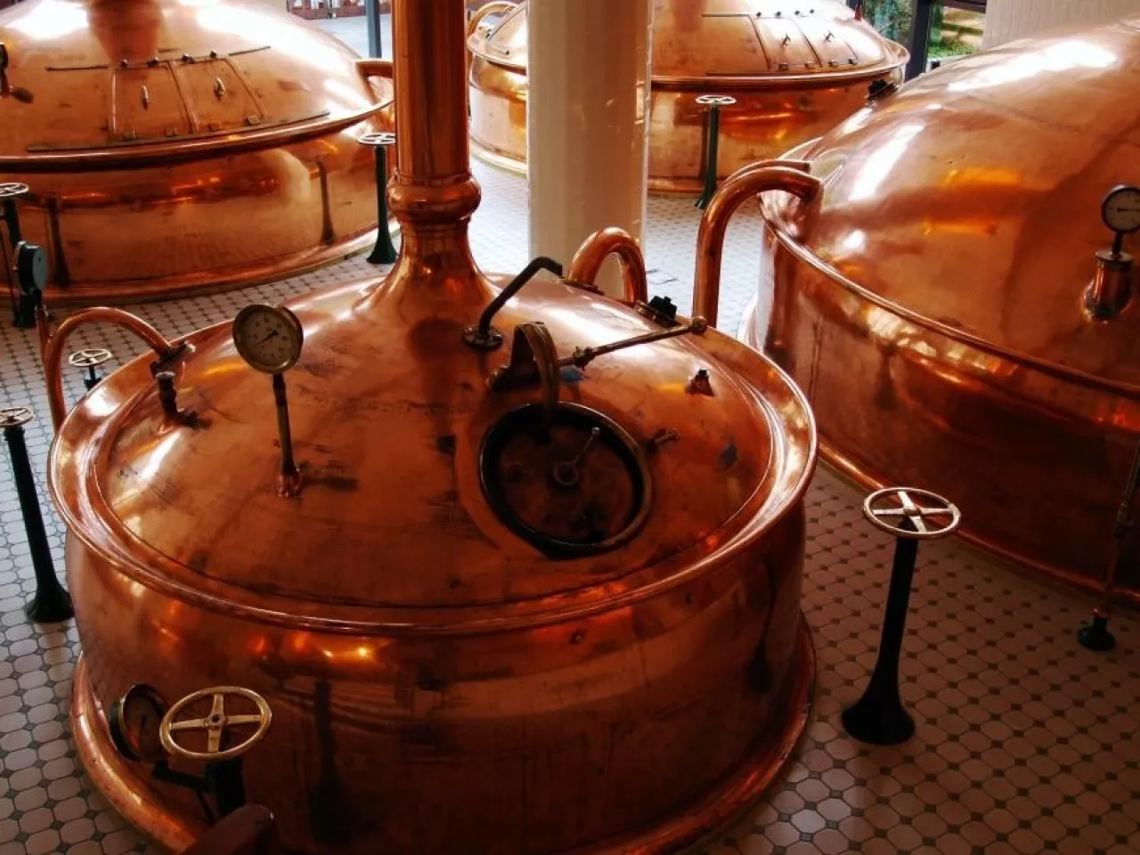 Rosyjscy producenci piwa chcą podwyższenia cła na importowane piwo (fot. pixabay)