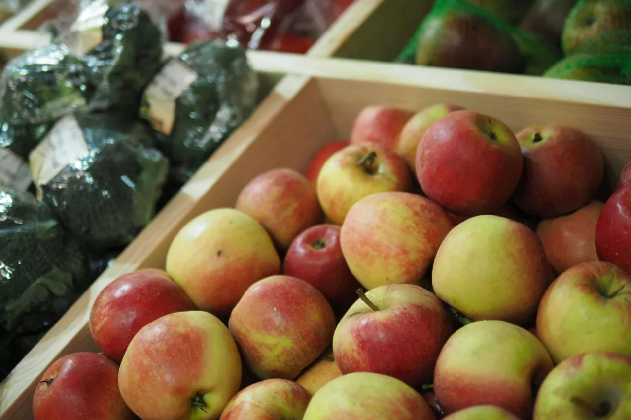 Jabłka należą do najczęściej wybieranych owoców przez cały rok (fot. Łukasz Rawa, wiadomoscihandlowe.pl)