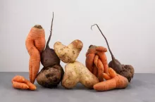 Sieci handlowe coraz częściej przekonują klientów, że warzywa nie zawsze muszą być idealnie symetryczne, aby nadawały się do jedzenia (Shutterstock.com)