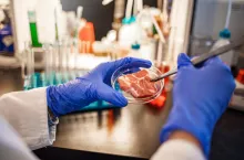 Giganci z branży spożywczej tworzą tzw. czyste mięso, wyprodukowane w laboratorium (Shutterstock)