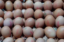 Upfield będzie partnerem Alternative Foods London Ltd, producenta roślinnych zamienników jaj (fot. Łukasz Rawa/wiadomoscihandlowe.pl)