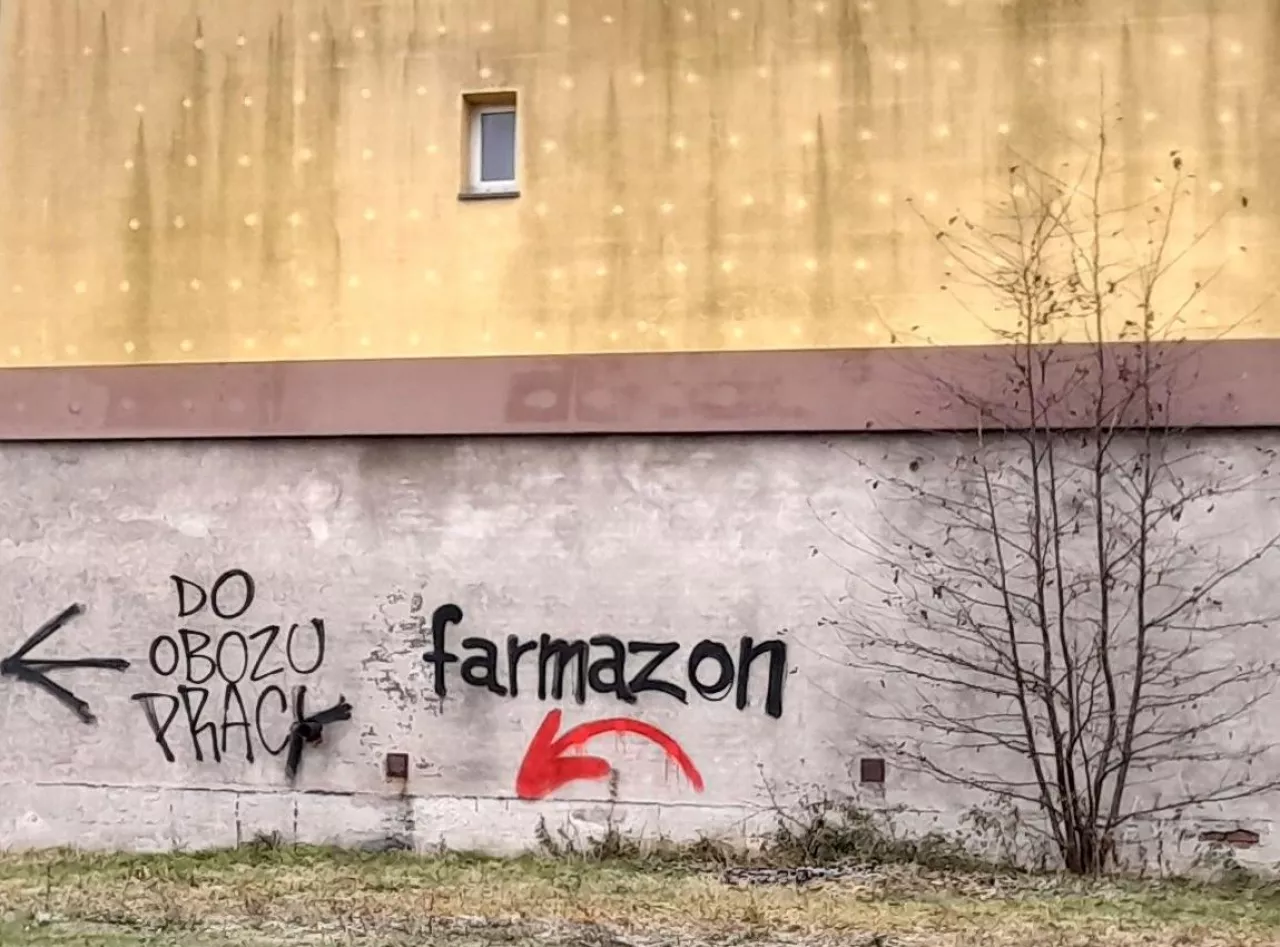 Graffitti przy drodze dojazdowej do centrum dystrybucyjnego Amazon w Pawlikowicach k. Łodzi (Fot. KK)