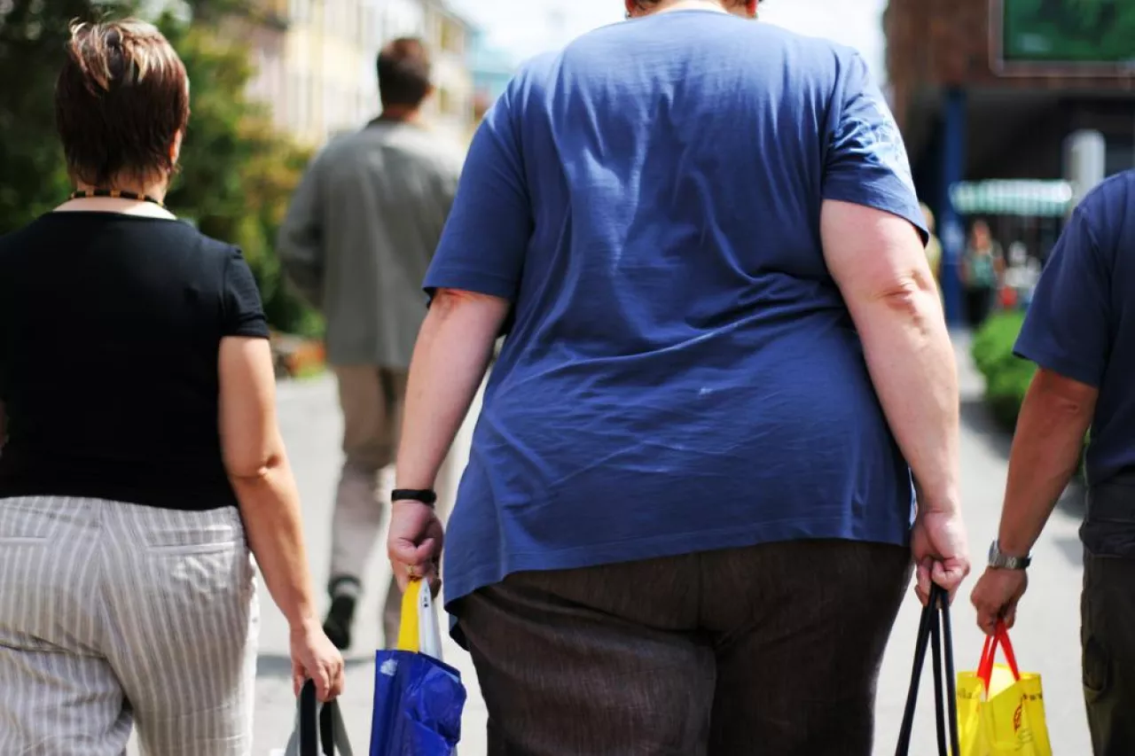 Nadwaga i otyłość jest coraz większym problemem europejczyków (Shutterstock)