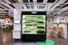 Sieć Ikea testuje w swoich sklepach farmy wertykalne zaprojektowane przez firmę Infarm (Infarm)
