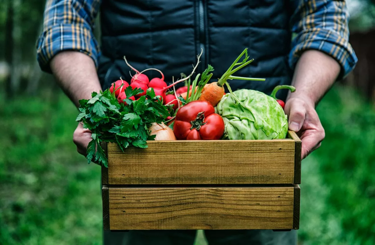 Każdy może produkować zdrową żywność? (Shutterstock)