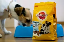 Firma Mars (właściciel marki Pedigree) otworzyła w naszym kraju trzecią fabrykę produkującą karmę dla zwierząt (fot. Shutterstock)