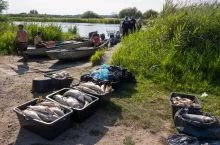 Państwowa Straż Rybacka i rybacy z przystani rybackiej Sumik odławiają śnięte ryby z rzeki Odry. (Shutterstock)