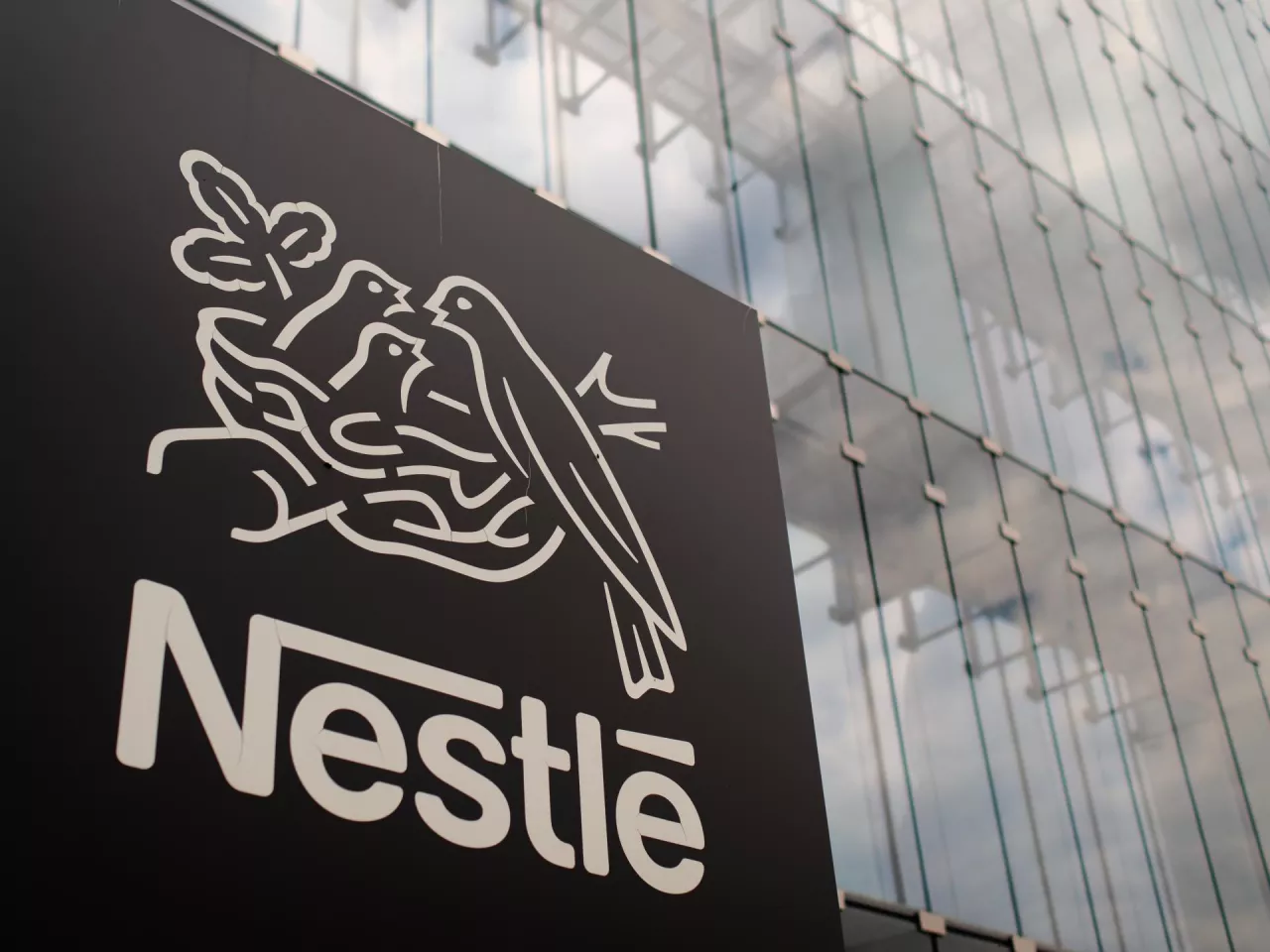 Biuro firmy Nestle w Warszawie (fot. Łukasz Rawa/wiadomoscihandlowe.pl)