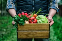 Żywność ekologiczna (Shutterstock)