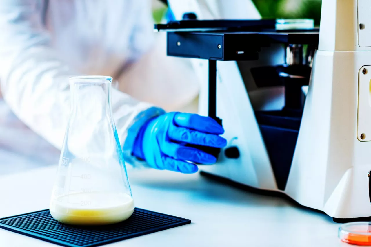 Mleko z laboratorium - czy to się może udać? (fot. Shutterstock)