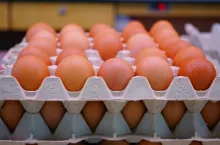 Statystyczny Polak nie istnieje, ale gdyby istniał, to zjadałby 154 jajka rocznie (fot. domena publiczna) ()